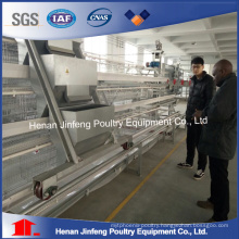 Automatic Poultry Equipment for Chicken Breeders Farm Use